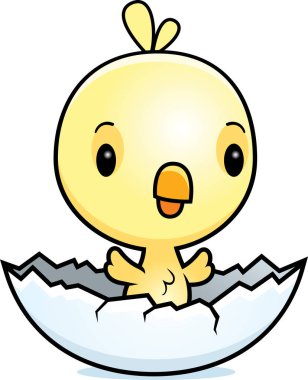 Çizgi film bebek civciv kuluçka