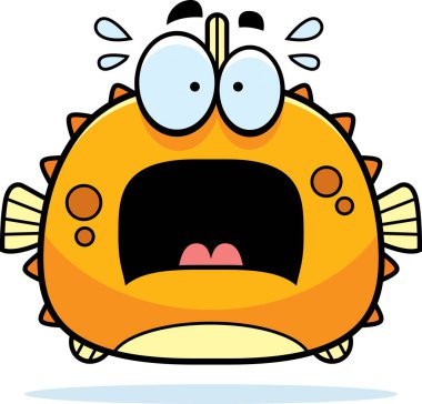 Korkmuş küçük Blowfish