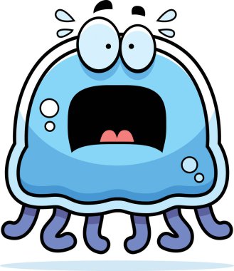 Korkmuş küçük denizanası