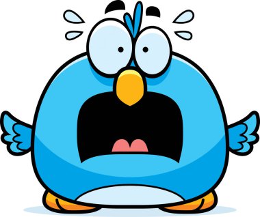 Korkmuş küçük kuş