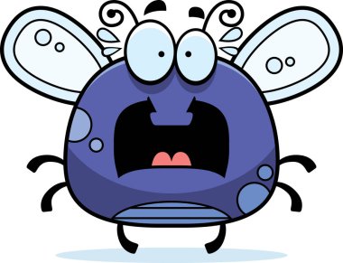 Korkmuş küçük sinek