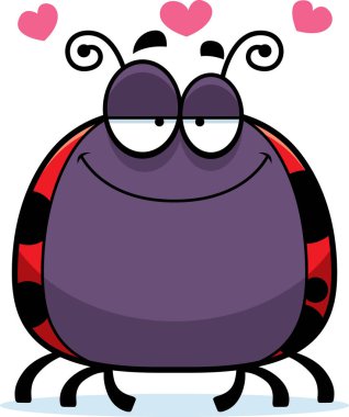 Böceğin nasıl ezildiğini aşık