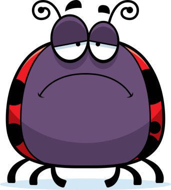 Üzgün böceğin nasıl ezildiğini