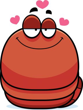 Aşık küçük solucan