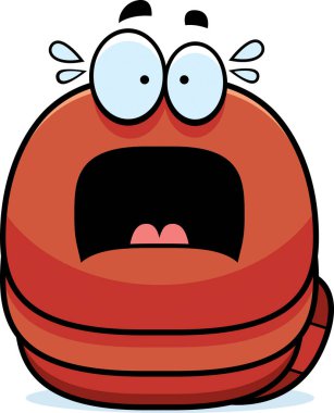 Korkmuş küçük solucan