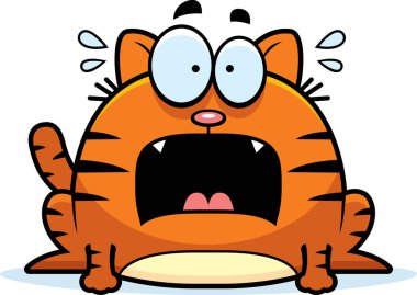 Çok korkmuş küçük kedi