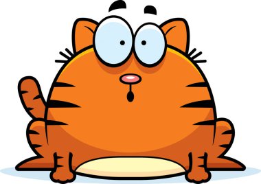 sürpriz küçük kedi