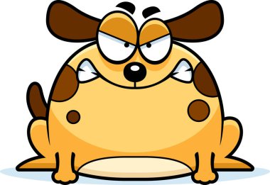 Çılgın küçük köpek