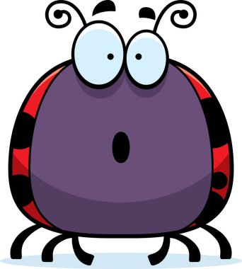 Böceğin nasıl ezildiğini şaşırttı