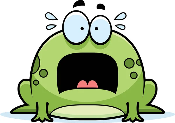 Korkmuş küçük kurbağa