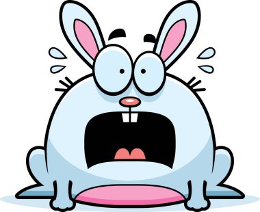 Çok korkmuş küçük tavşan