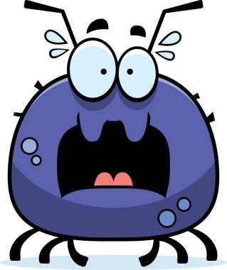 Korkmuş küçük kene