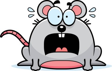 Çok korkmuş küçük fare