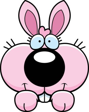 Karikatür tavşan bakmak