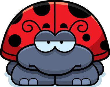 Sıkılmış böceğin nasıl ezildiğini