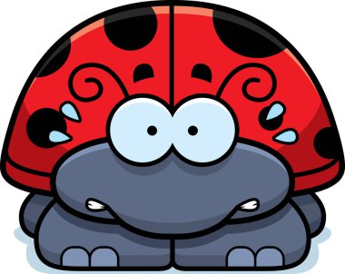 Gergin böceğin nasıl ezildiğini