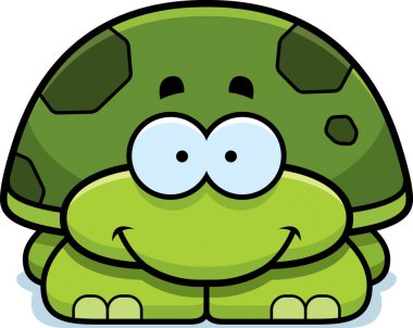 Gülümseyen küçük kaplumbağa