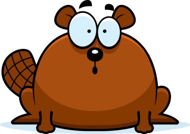 Küçük kunduz şaşırttı