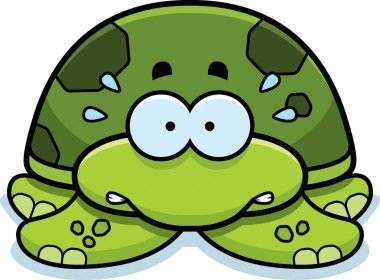 Gergin küçük deniz kaplumbağası