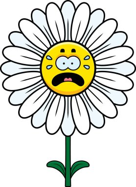 Çizgi film korkmuş Daisy