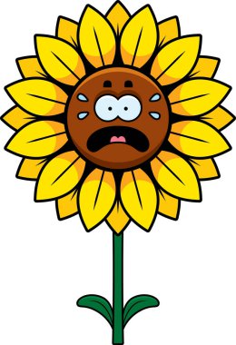 Çizgi film korkmuş ayçiçeği