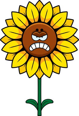 Çizgi film kızgın Ayçiçek