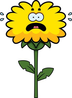 Çizgi film korkmuş karahindiba