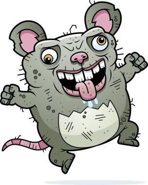 Deli çirkin sıçan