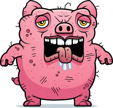 Yorgun çirkin domuz