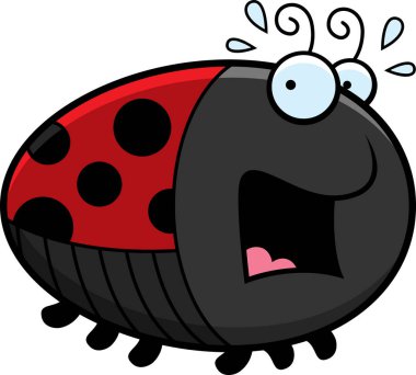 Korkmuş karikatür uğur böceği