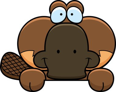 Çizgi film Platypus bakmak