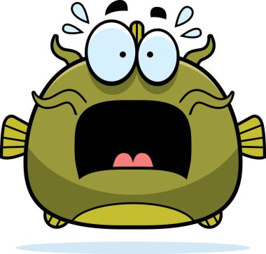 Korkmuş küçük yayın balığı