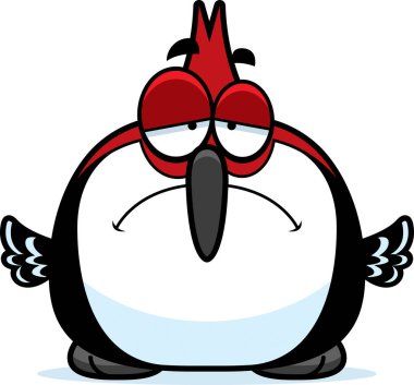 Üzgün küçük ağaçkakan