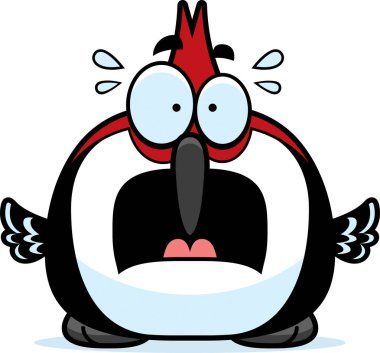 Korkmuş küçük ağaçkakan