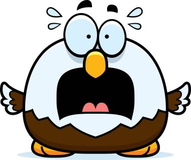 Korkmuş küçük kel kartal