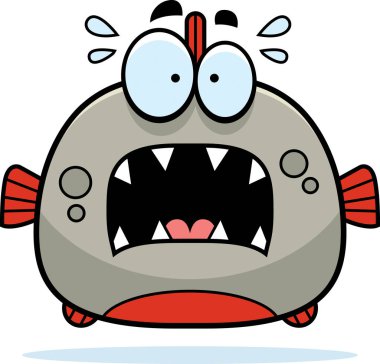 Korkmuş küçük Piranha