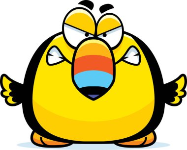 Kızgın küçük Toucan