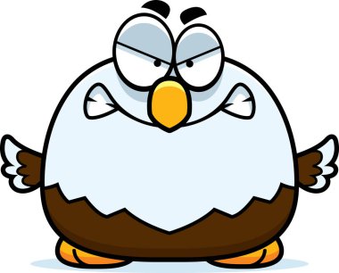 Kızgın küçük kel kartal