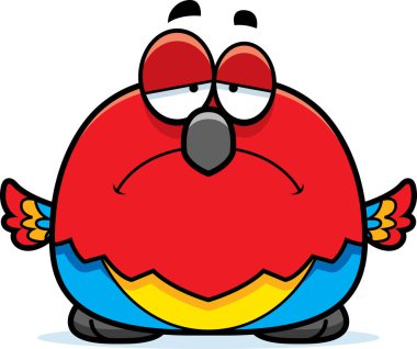 Üzgün küçük papağan