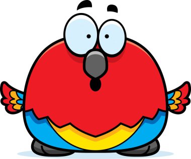 Sürpriz küçük papağan