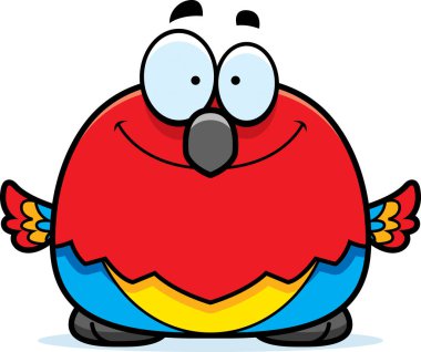 Gülümseyen küçük papağan