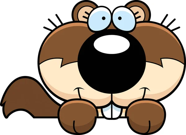 Zeichentrickhörnchen guckt — Stockvektor