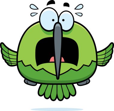 Korkmuş küçük sinek kuşu