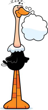 Çizgi film devekuşu rüya