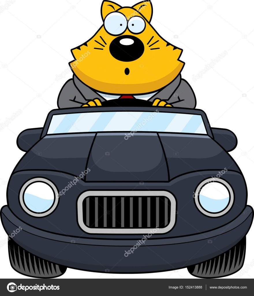 Cartoon Fat  Cat  Driving  Surprised  Stock Vector  cthoman 