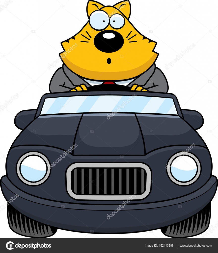 Cartoon Fat Cat Driving Surprised Stock Vector cthoman Cartoon Fat Cat Driving Surprised Stock Vector cthoman