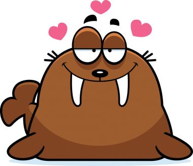 Cartoon Walrus in Love clipart
