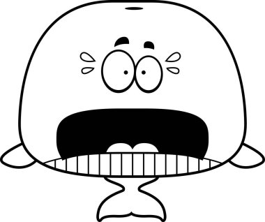 Korkmuş karikatür balina