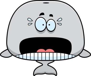 Korkmuş karikatür balina