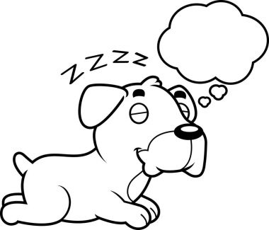 Rüya karikatür boksör